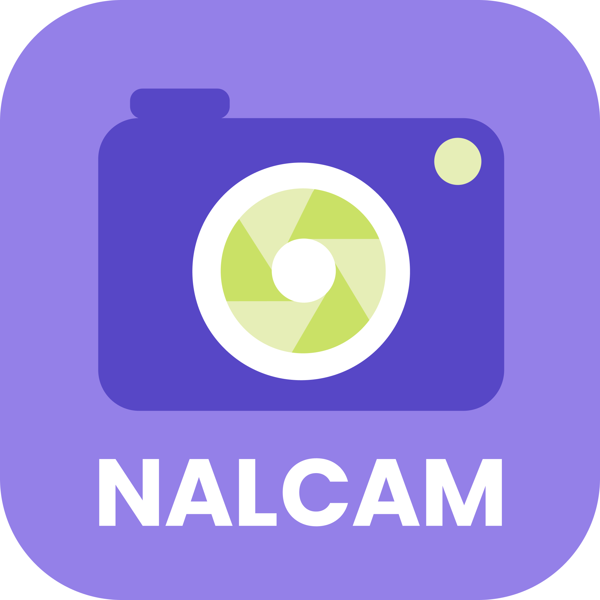 NALCAM